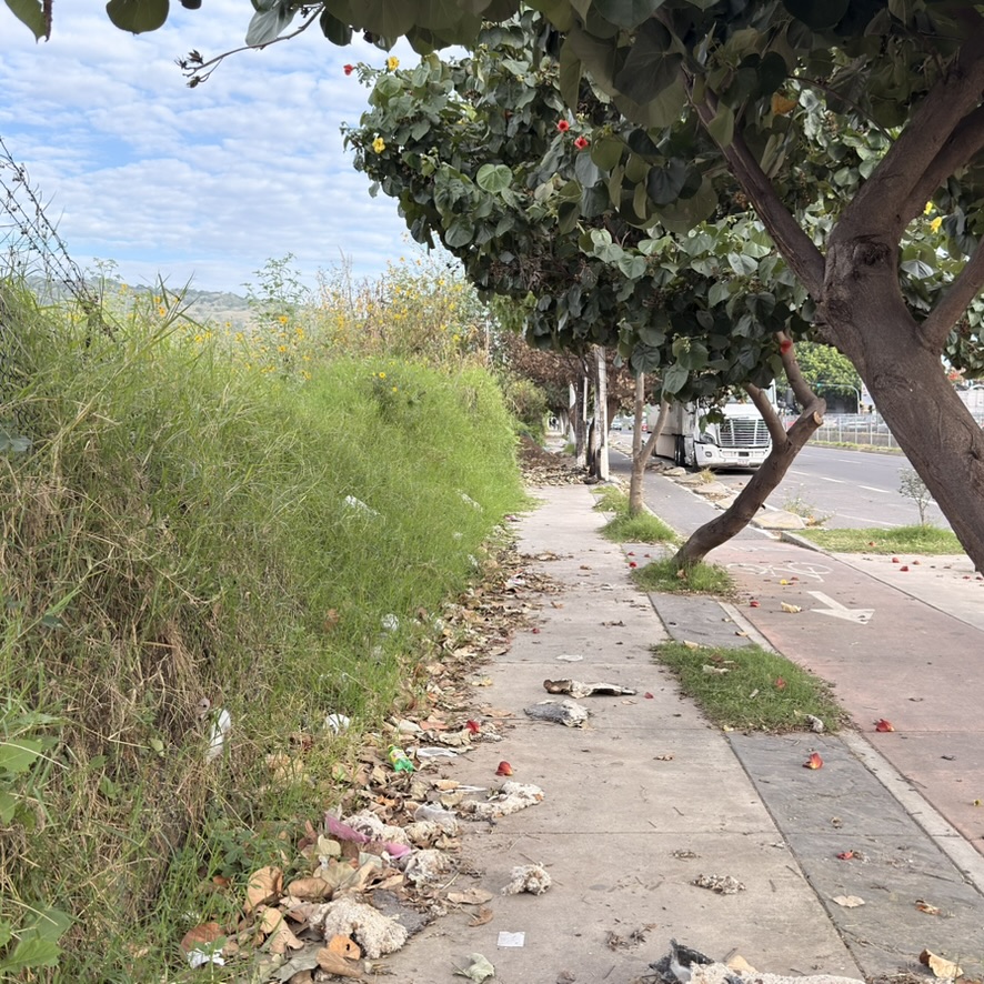 xanatos's tweet photo. @ZapopanGob @PoliciaZapopan  @MovilidadZap oigan, ustedes pueden revisar/atender todo el cochinero e invasion de de una banqueta en la colonia miramar, en av de las torres sobre la parcela, este es el pin de google https://t.co/uiUMT1cVNd  y una foto https://t.co/VW9fSiiCxo