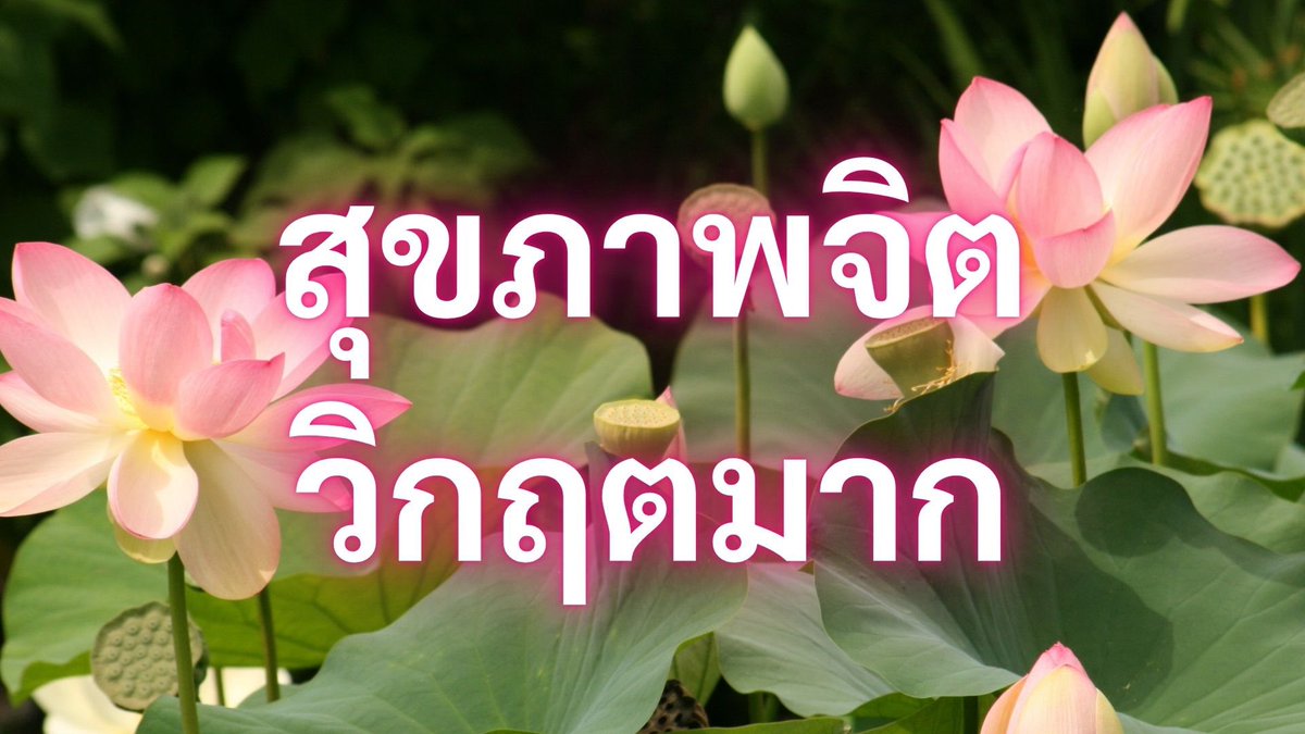 Iaunza's tweet photo. เกินเยียวยาแล้ว https://t.co/OLLAdbu8cn