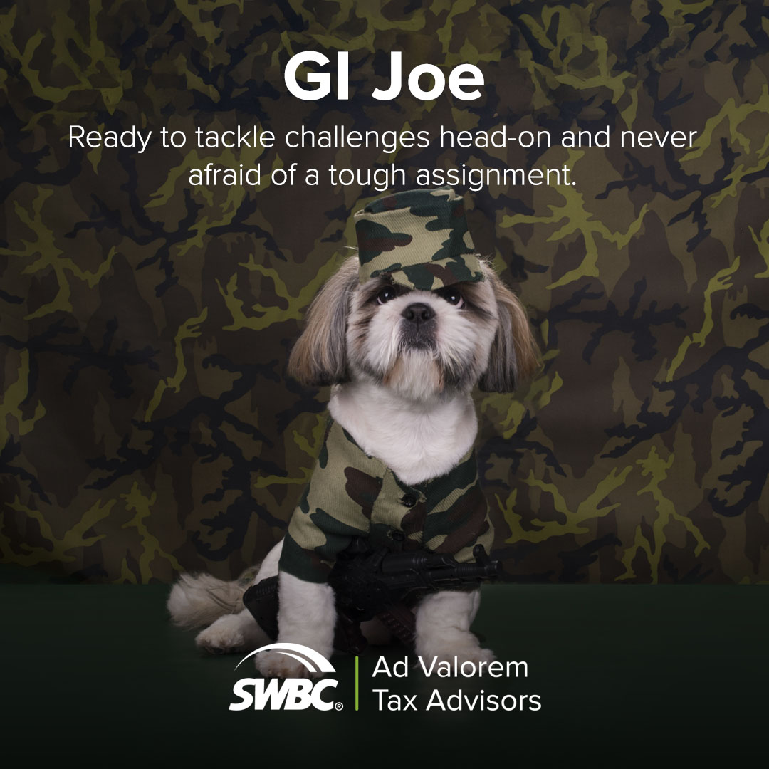 SWBCServices's tweet photo. Property taxes are serious. Halloween isn't.

If our Tax Advisors team picked costumes, we'd go with a mermaid, police officer, judge, GI Joe, and Barbie.

Which one fits you best?

#Halloween #TaxAdvisors https://t.co/Wa5Uh8jkPz