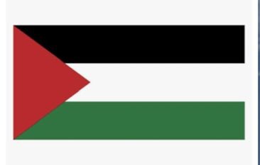 bathelshoshana1's tweet photo. This flag should be banned !

I never want to see it again 

Do you agree? https://t.co/gZs0W4l986