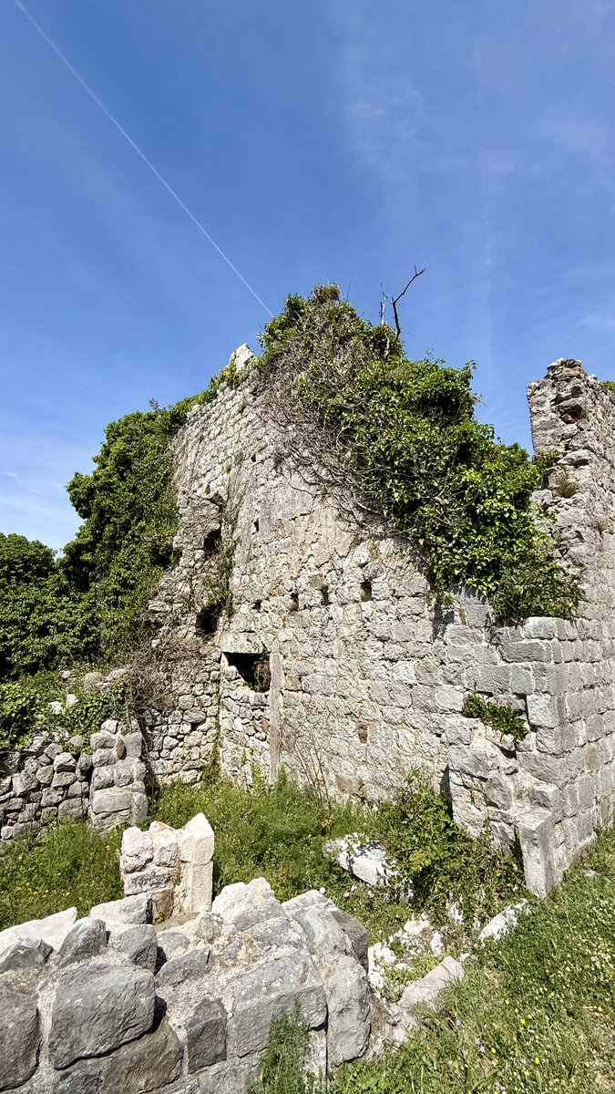 KeensDesign's tweet photo. Perched dramatically on a rocky cliffside at the foot of Mount Rumija, the Old Bar Fortress (Stari Bar) spans 4.5 hectares of pure, multi-layered history. 🇲🇪

@bar.travel #OldBar #StariBar #OldBarFortress #Montenegro #BarMontenegro https://t.co/MWh4shxbOP