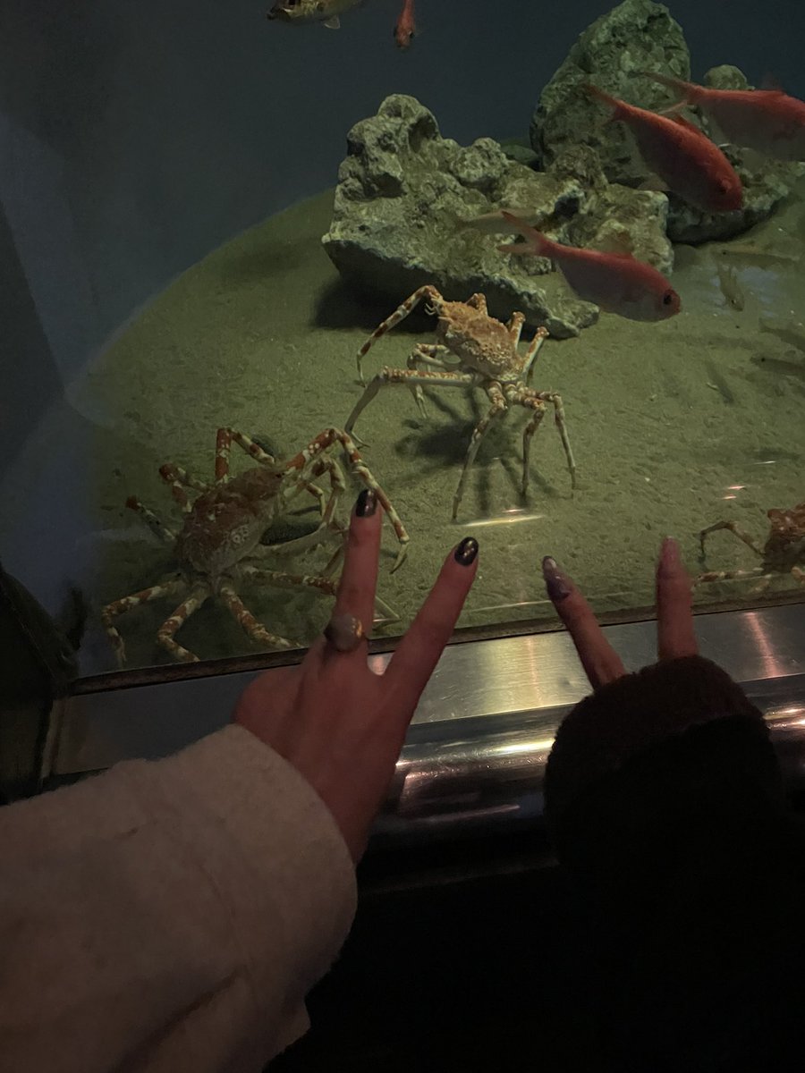 ebifuraijan's tweet photo. カニピース🦀✌️
#超フィバ推し https://t.co/k6Zzw3OWO2