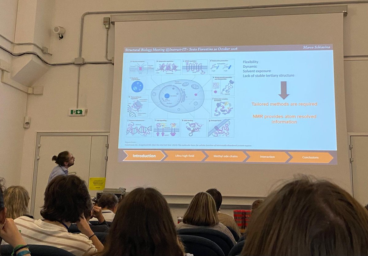 cerm_cirmmp's tweet photo. The final session of meeting brought the day’s scientific programme to a close with talks on #NMR characterisation of challenging biotherapeutics, #IDPs, thyroid hormone transport, and the application of machine learning and #MD simulations to #metalloproteins

Thank you to all! https://t.co/qw67EKtmzm