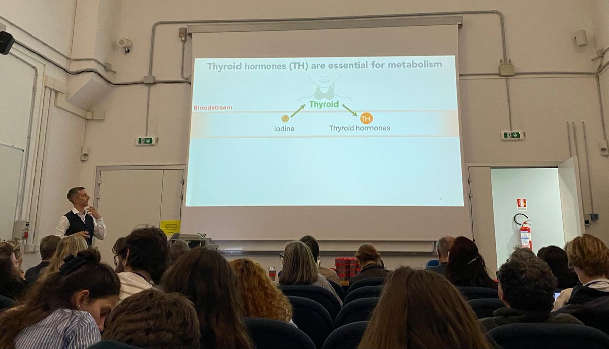 cerm_cirmmp's tweet photo. The final session of meeting brought the day’s scientific programme to a close with talks on #NMR characterisation of challenging biotherapeutics, #IDPs, thyroid hormone transport, and the application of machine learning and #MD simulations to #metalloproteins

Thank you to all! https://t.co/qw67EKtmzm