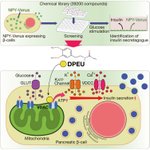 Photo by Cell Chemical Biology (@CellChemBiol)