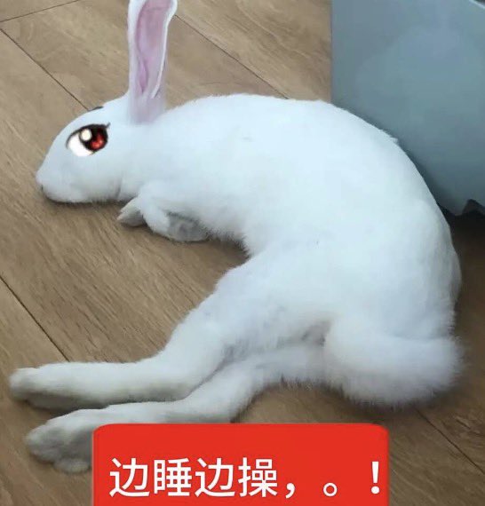 lvseshan643's tweet photo. 顺带一提，好的作品不一定需要好的画技。内容有趣，有自己的想法或风格，让人感到触动之类的也是好的作品。或者你享受画画过程或画画能够让你抒发什么情绪之类的也都很好呀，反正什么时候开始都不会晚。去画画吧，不要总想着去讨伐别人，你可以做到。 https://t.co/qzNSbrLUhp