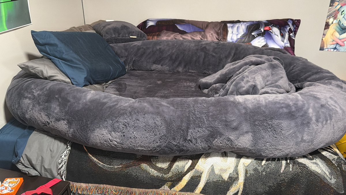 BetaEtaDelota's tweet photo. 100 likes and I get in fursuit, doze around in this giant-ass dog bed for 1 hour and upload the video raw to YouTube https://t.co/DziXMuv0BY
