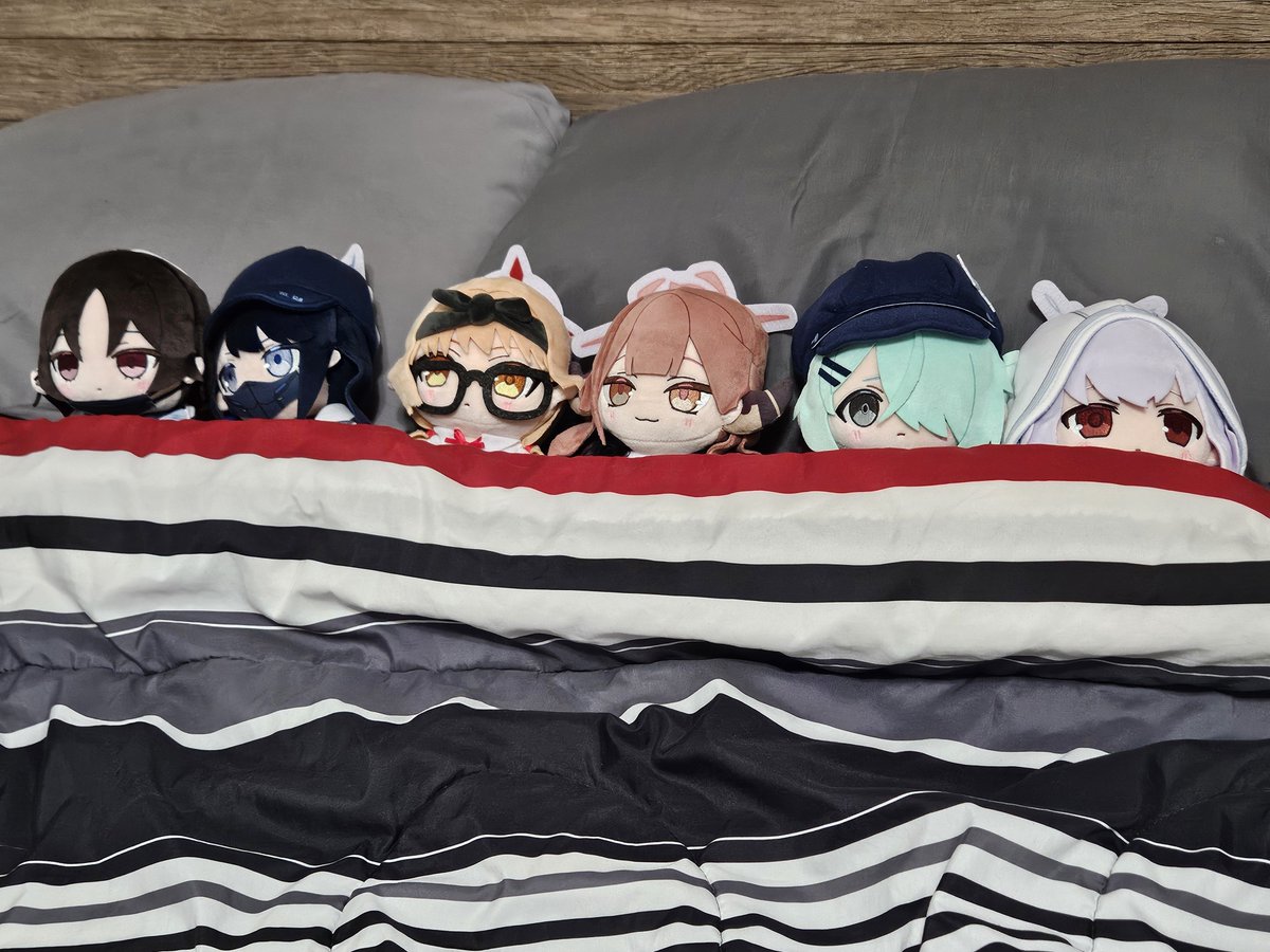 Con___air01's tweet photo. @carbo3939 I tuck mine in bed so I just see them all soon as I walk in https://t.co/wWC0KkfzoZ