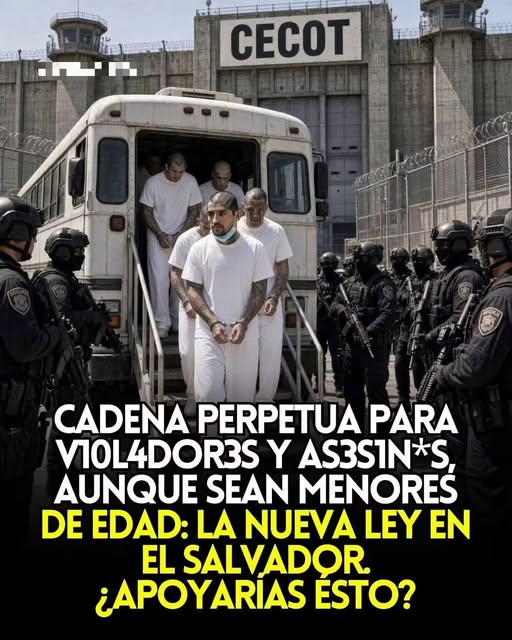 pepeluspain's tweet photo. Lo apoyo totalmente ¡ https://t.co/4Ou4gD1SNp