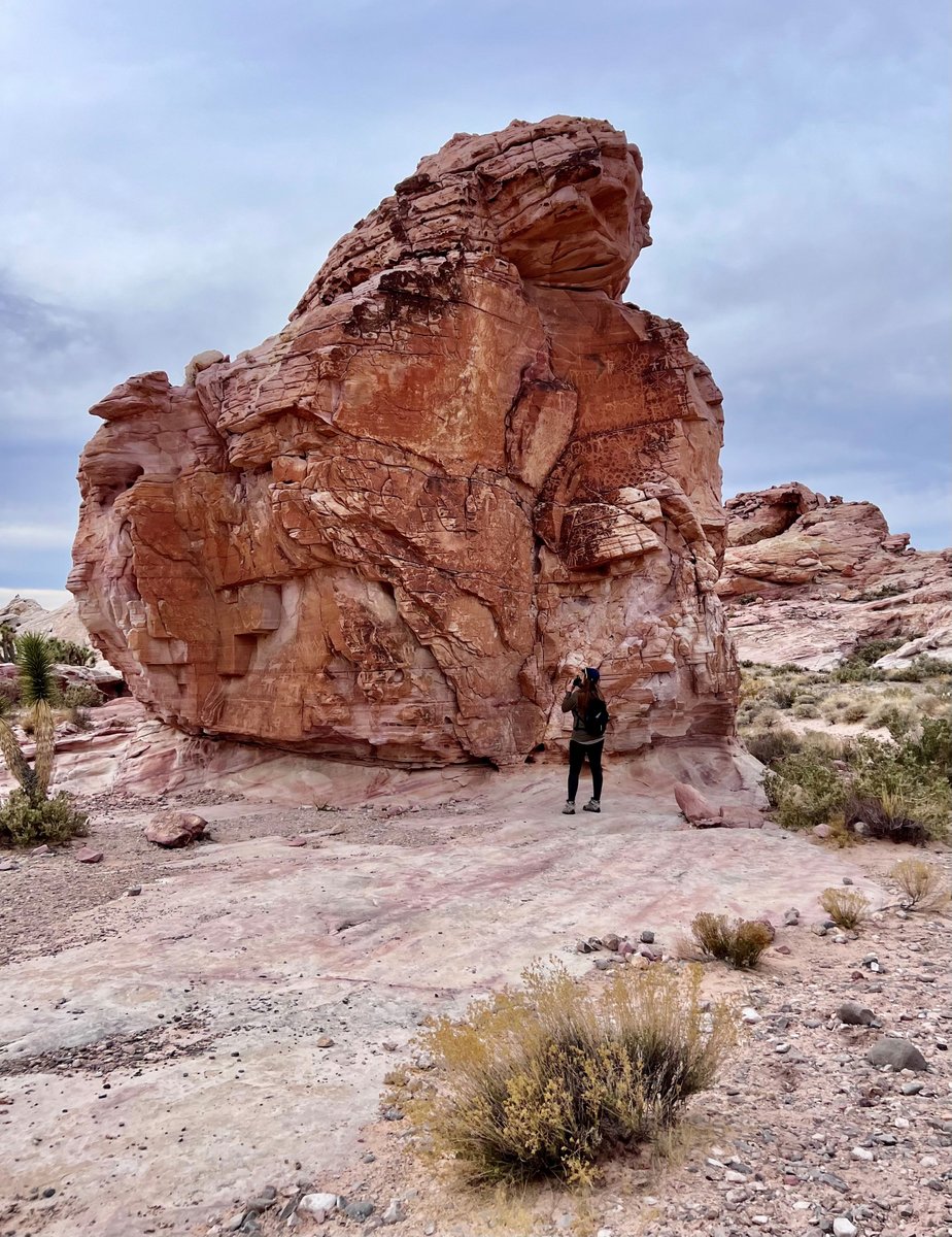 DRIScience's tweet photo. DRI archaeologist Megan Stueve presented to Nevada’s Advisory Board on Outdoor Recreation on her Virtual Outdoor Experiences, free digital tours that let people explore remote cultural and natural sites across #Nevada. 

Learn more: https://t.co/VKnjv4oadU 

#DiscoverDRI #VOE https://t.co/06cGIguKPR