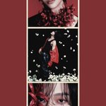 Photo by ⌗ 𝐩𝐮𝐫𝐫𝐟𝐞𝐜𝐭𝐥𝐲 𝐟𝐨𝐱𝐲— 𝐯𝐞𝐫𝐢𝐟𝐢𝐞𝐝ⵑ (@wonbpin)