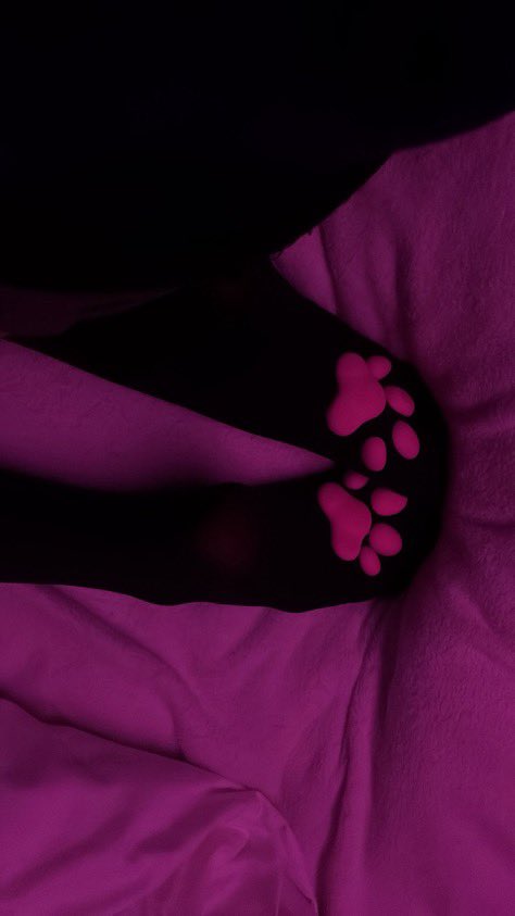 offemder's tweet photo. meow #nsfwtwt #catgirl #pawsocks #feet https://t.co/YmM2XT1p4i