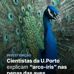 Photo by Universidade Porto (@UPorto)