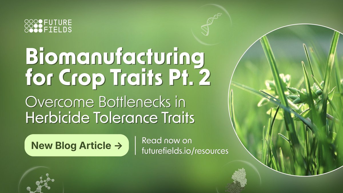 futurefieldsHQ's tweet photo. Can your expression host deliver active, correctly folded proteins for regulatory studies?

Part 2 of our crop trait series breaks down major herbicide tolerance enzyme classes and surrogate protein supply bottlenecks.

👉 Read it here: https://t.co/8YFd2pL8vU https://t.co/EG6krVmT4d