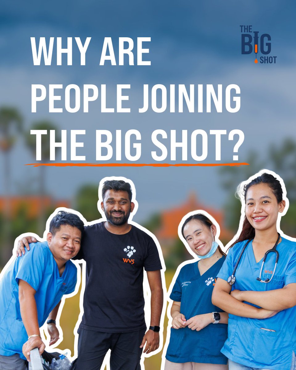 WVScharity's tweet photo. Why are people joining Big Shot?

🐶 To protect dogs
💙 To help communities
🛡️ To help end rabies

Different reasons. One mission.

https://t.co/CdTOKjaWlA https://t.co/TJ4UtAx69O