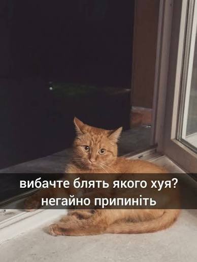 FayneZP's tweet photo. Вчора зайшов в магазин за ковбасою - мінус 900 грн
Сьогодні зайшов за Колою - мінус 700 грн

Я у магазин ходжу чи закриваю їхні борги? 🤷‍♂️ https://t.co/FvcS1TDGmS