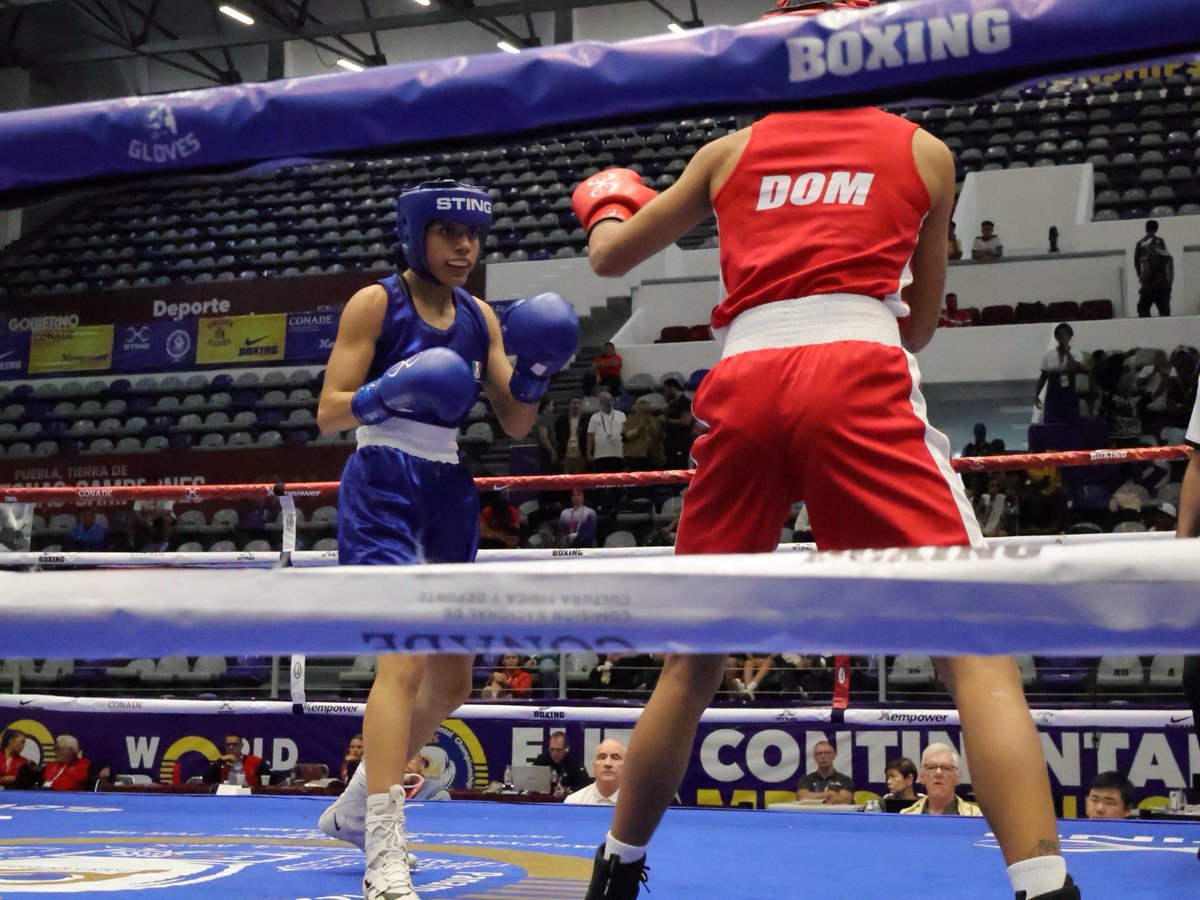 COM_Mexico's tweet photo. ¡Valeria Amparán sigue firme en el ring! 🥊
La campeona mexicana aseguró su pase a los cuartos de final en la división de los 51 kg del Campeonato Panamericano de Boxeo Puebla 2026, acercándose cada vez más al podio continental.
Este torneo forma parte del proceso de clasificación rumbo a Lima 2027. 👊

¡Vamos por más, Valeria!