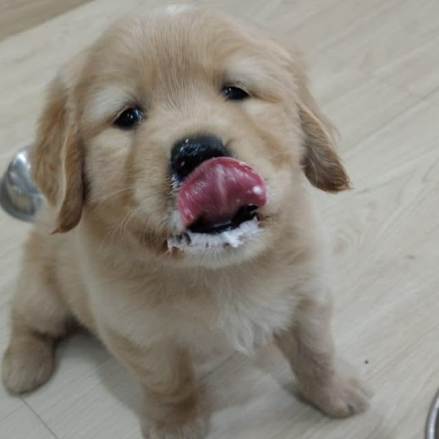 keepwatashi's tweet photo. หิว ถ้าม่ายได้กิมข้าว ก้จะกิมเทอ https://t.co/7yASDDfiUb