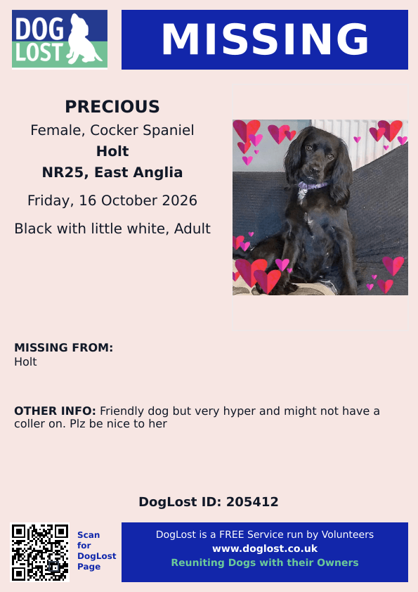 millypod1's tweet photo. 🆘16 OCT 2026 #Lost Precious #ScanMe
Black /White Cocker Spaniel Female
#Holt area #Norfolk #NR25
https://t.co/BCF5N7pRJI https://t.co/h0GKpvs2yM