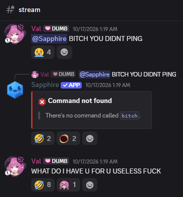 valricai's tweet photo. theres no command called "bitch" 😭 https://t.co/1eb868I7eL