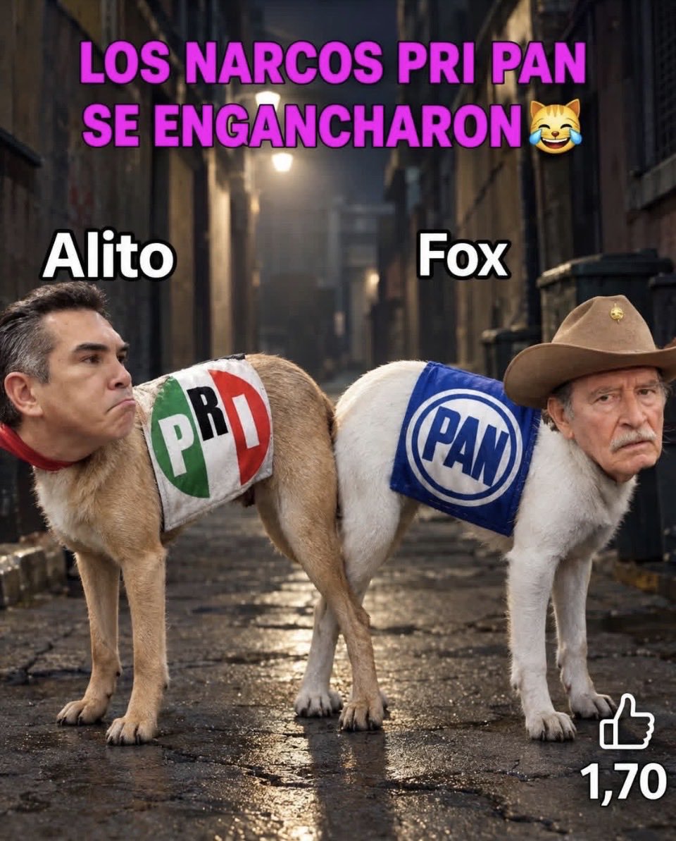 Alberto21688807's tweet photo. @alitomorenoc https://t.co/lZJkayNw29