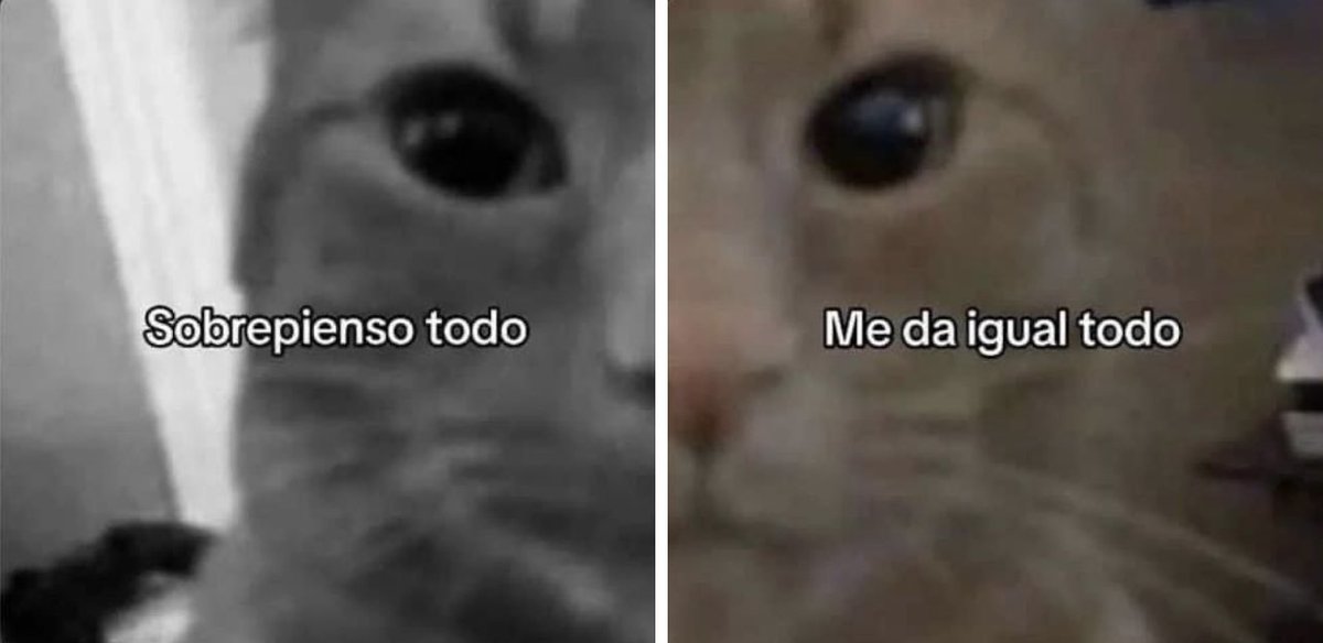 Briagowsky's tweet photo. Buenas https://t.co/DtcMtt2Erm