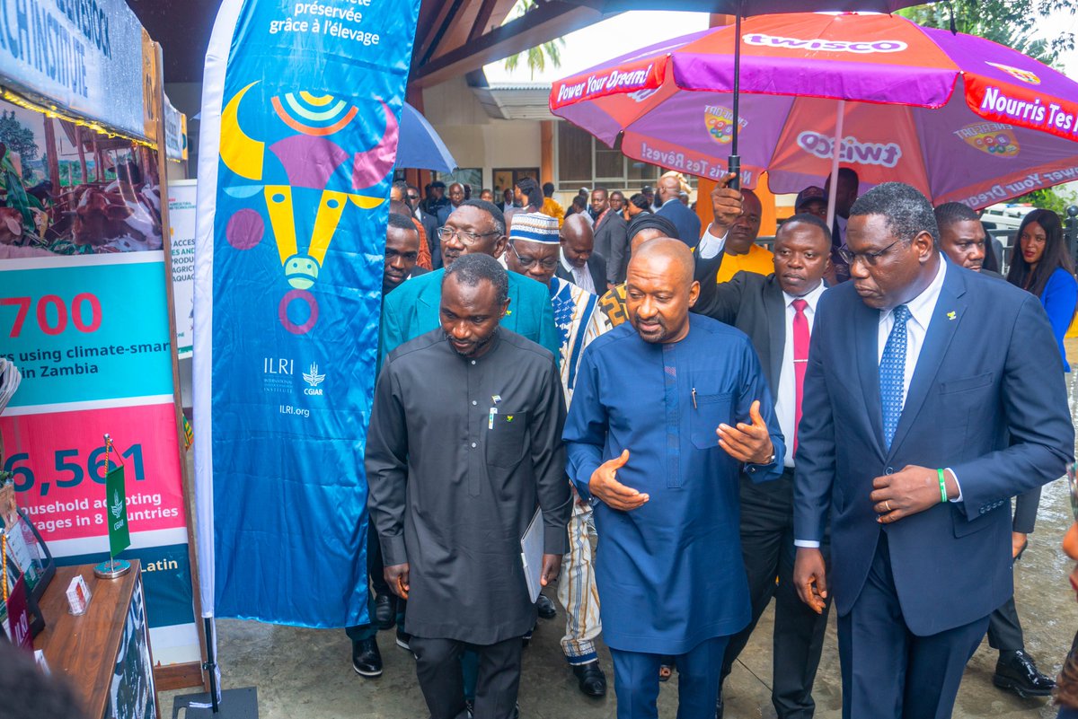 CORAFNews's tweet photo. 📸 Discover agricultural technologies, integrated crop–livestock–aquaculture systems, and innovations from entrepreneurs and international partners.

📍 In Freetown? Visit the exhibition, meet innovators, and explore partnership opportunities!

#CORAFMita #MITA2026 https://t.co/gjTsRp0iYf