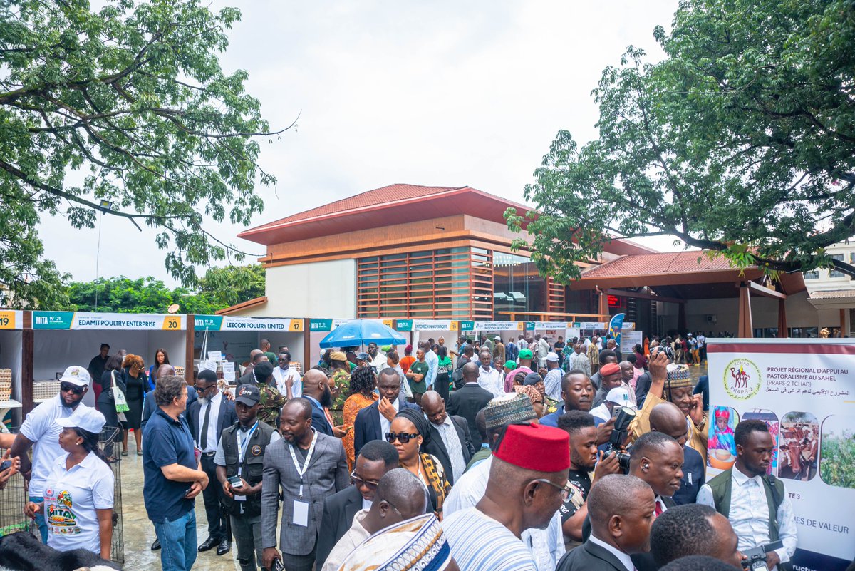 CORAFNews's tweet photo. 📸 Discover agricultural technologies, integrated crop–livestock–aquaculture systems, and innovations from entrepreneurs and international partners.

📍 In Freetown? Visit the exhibition, meet innovators, and explore partnership opportunities!

#CORAFMita #MITA2026 https://t.co/gjTsRp0iYf