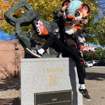 Photo by Tora (@tigermaws)