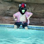 Photo by VoltTheWinged (@VoltTheWinged)