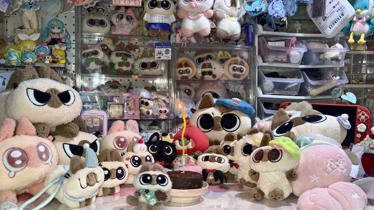 ONLY_forAzuki's tweet photo. #シャム猫あずきさんは世界の中心 

🎉小豆泥の誕生日おめでとう！！！🎂
I LOVE YOU🥺！
 
from: 筱朦 https://t.co/FmpfKWpmsu