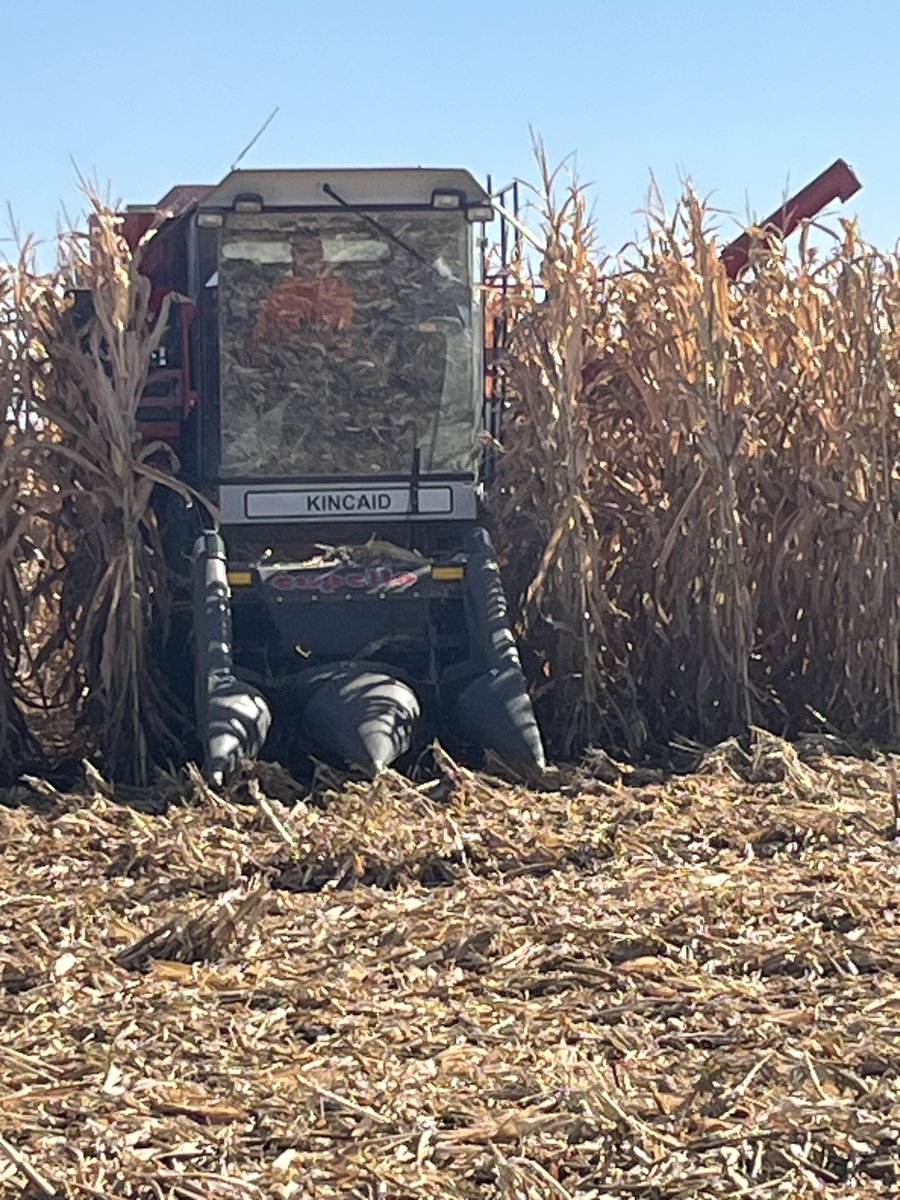 DschaeferDaniel's tweet photo. The neighbor across the road. 12 row head unloading on the go—— Us🤣 https://t.co/GzdACf9fOw