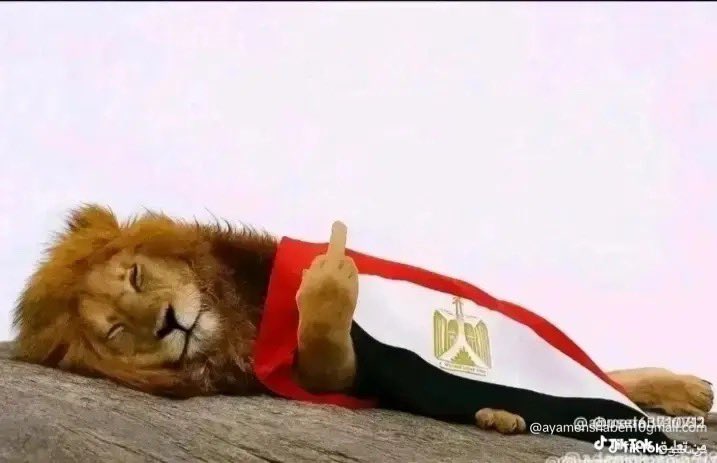 elsharkawy357's tweet photo. @DPel55 @Egyptloverzzgy @eidsmz77 ههههههه انت لو ليك نسب او جد كنت كتبت اسمك 😀😀😀 https://t.co/c3FNkzVebg