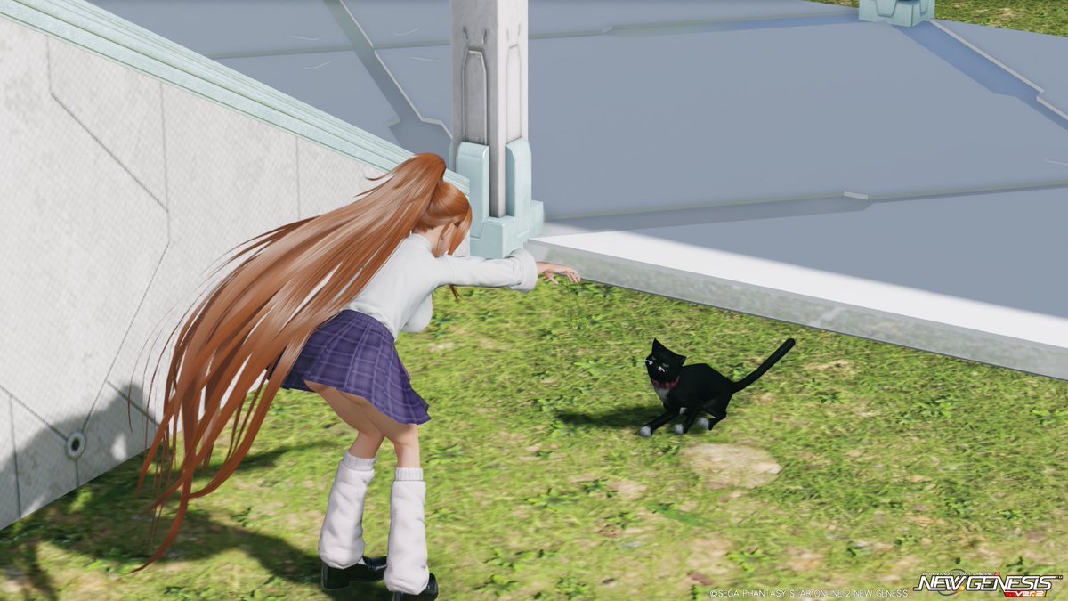 Fr0mW0rld's tweet photo. 制服確保に全メセタを費やしたので上げ(/・ω・)/制服といえば学校でしょってことで飛鳥さんとこにお邪魔しました(`・ω・´)飛鳥さんありがとー(*´ω`*)ノシ
#メンテの日なのでSSを貼る
#PSO2NGS_SS
#PSO2_SS
#NGS https://t.co/pyxvf8KRls