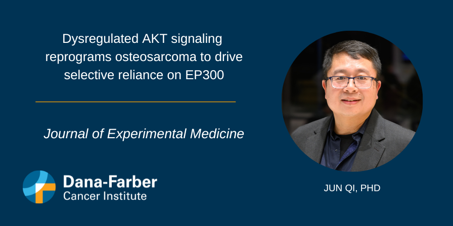 DanaFarberNews's tweet photo. New research published in @JExpMed from @DanaFarber’s @JunQiLab and collaborators reveals that AKT inhibitors synergize with EP300 degraders to suppress osteosarcoma growth in vitro and in vivo. These agents positively combine across cancer cells in a manner dependent on control of protein synthesis.

➡️https://t.co/Xtiwt65P4T