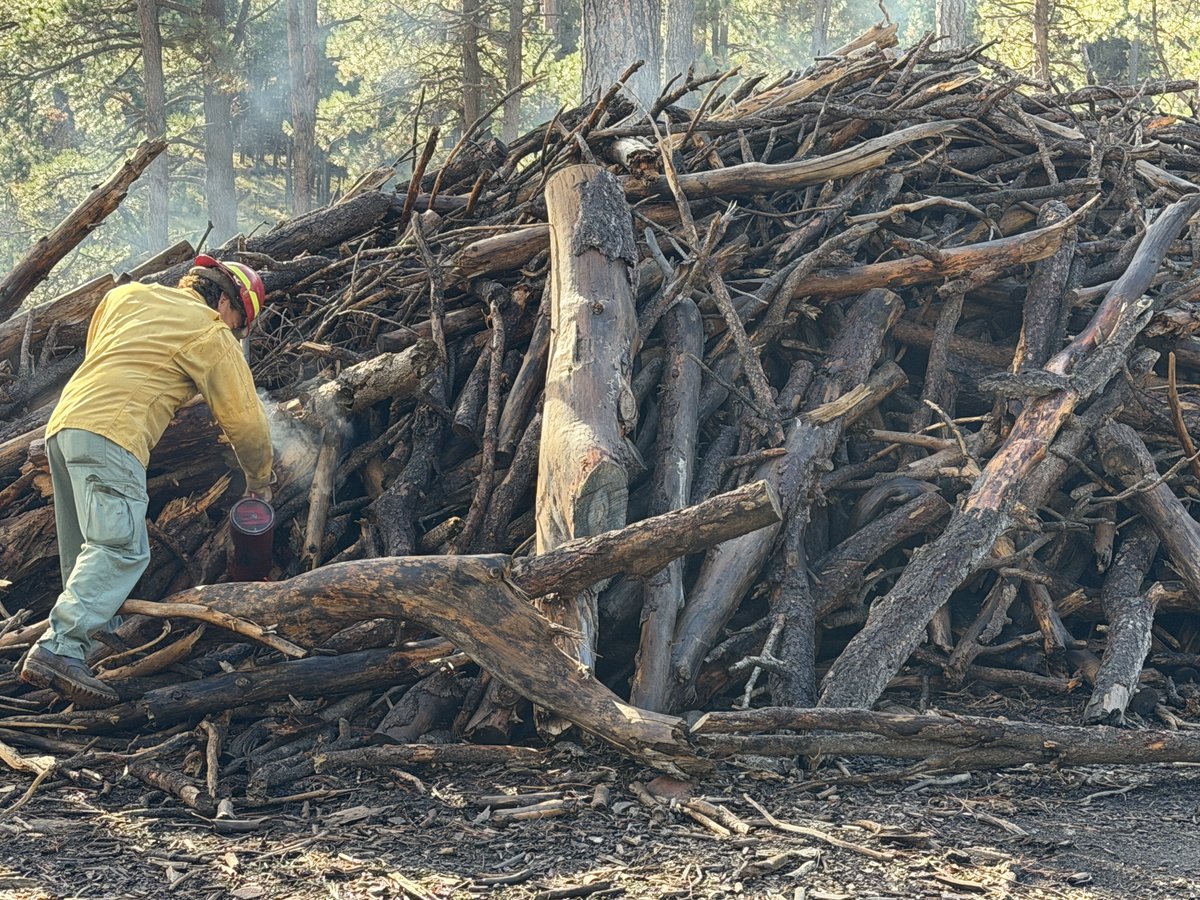 azstateforestry's tweet photo. Ignitions underway on 50-acre Wolfe-Tillman prescribed fire project north of Forest Lakes. 

Project area is 180 debris piles consisting primarily of ponderosa pine & leftover from prior fuels work on @azgfd land, 8 mi. N of Forest Lakes, along Forest Road 169.

Ignitions could take a few hours to complete w/smoke drifting north away from Forest Lakes.

Project info: https://t.co/xCnJFLXFnE