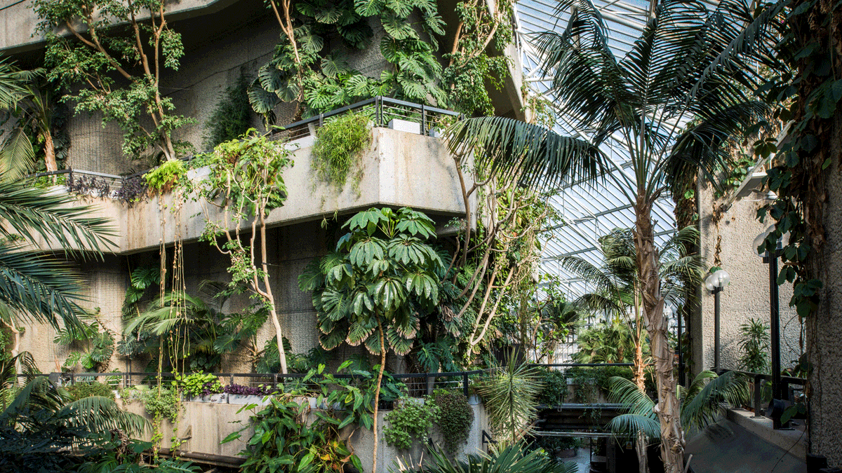 Goltra's tweet photo. I need a jungle lair

For my plans https://t.co/033flRua57