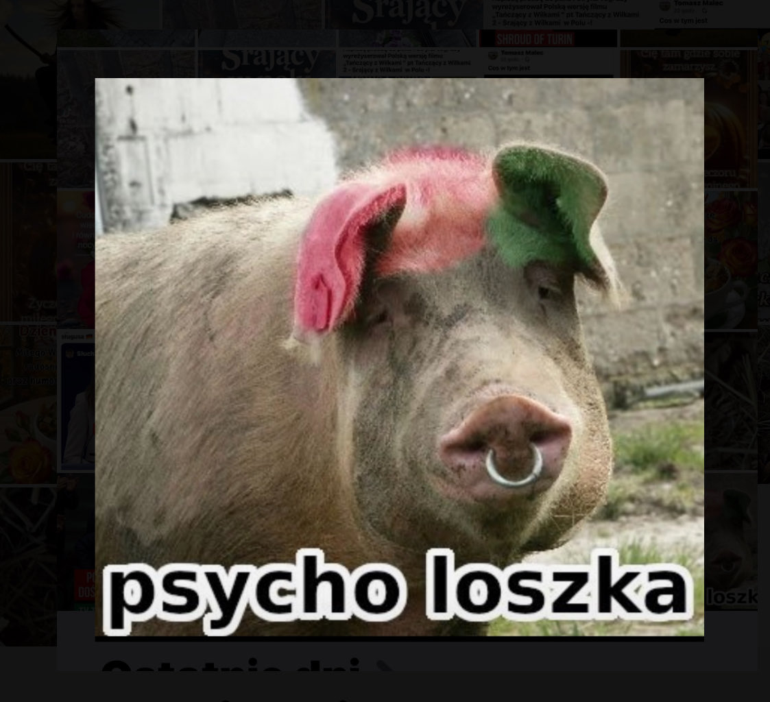 mikosiak458211's tweet photo. Dwie PSYCHO-LO$ZKI RYŻEGO 👨‍🦰DEWIANTA Z KOALICJI 13 Grudnia https://t.co/7oa8lUoq3n