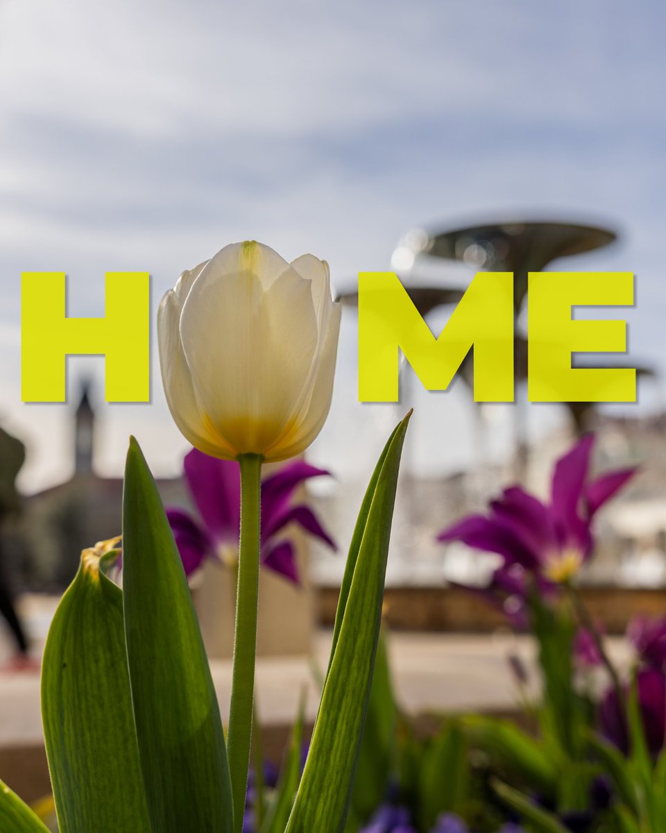 TCU's tweet photo. There's no place like HOME! Happy homecoming week, Horned Frogs 💜

🔗 For all the details, go to: https://t.co/Zo9y6lLCiO https://t.co/kNNhF2Bs4f