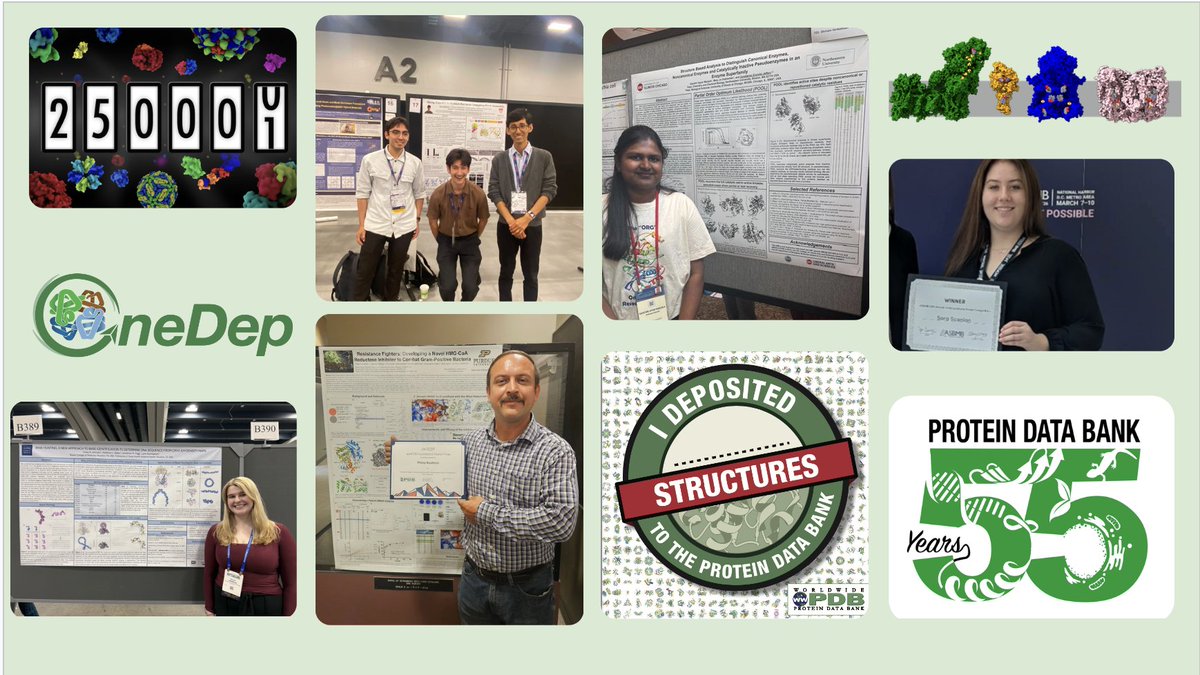 buildmodels's tweet photo. Many thanks to all of the PDB depositors and data users around the world who have helped make the PDB leading global resource for experimental data central to scientific discovery.

3/3 https://t.co/MOdPXl0N0W