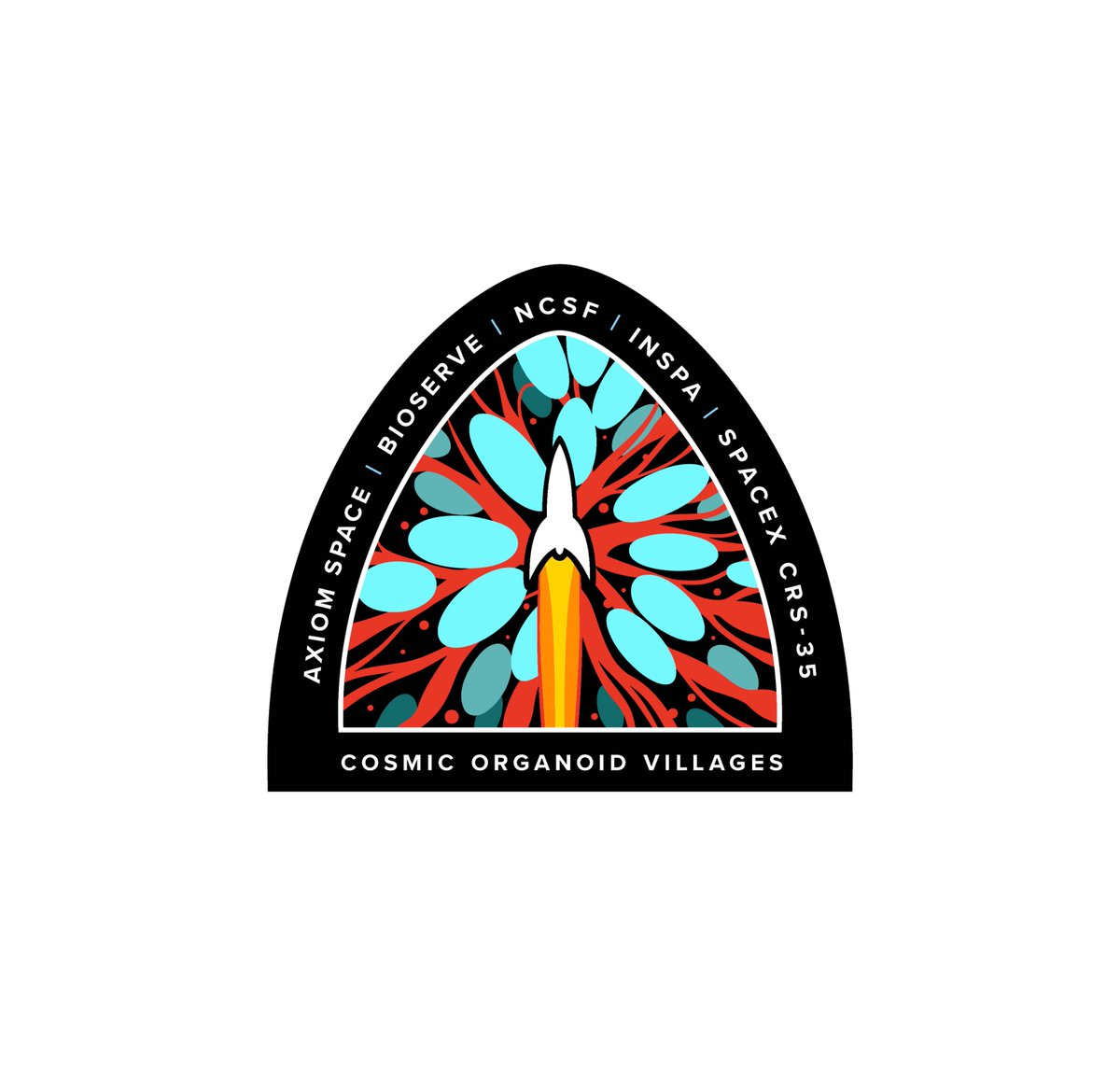 NationalSCF's tweet photo. We’re excited to unveil the mission patch for our 7th mission to @CASIS_ISS last week on #SpaceX CRS-35, designed by award-winning painter &amp; illustrator Gregory Manchess. @Axiom_Space @BioServeST #MS #PD #Alzheimers #stemcells #space #research #CosmicOrganoidVillagesTM https://t.co/txjKQDXi8Q