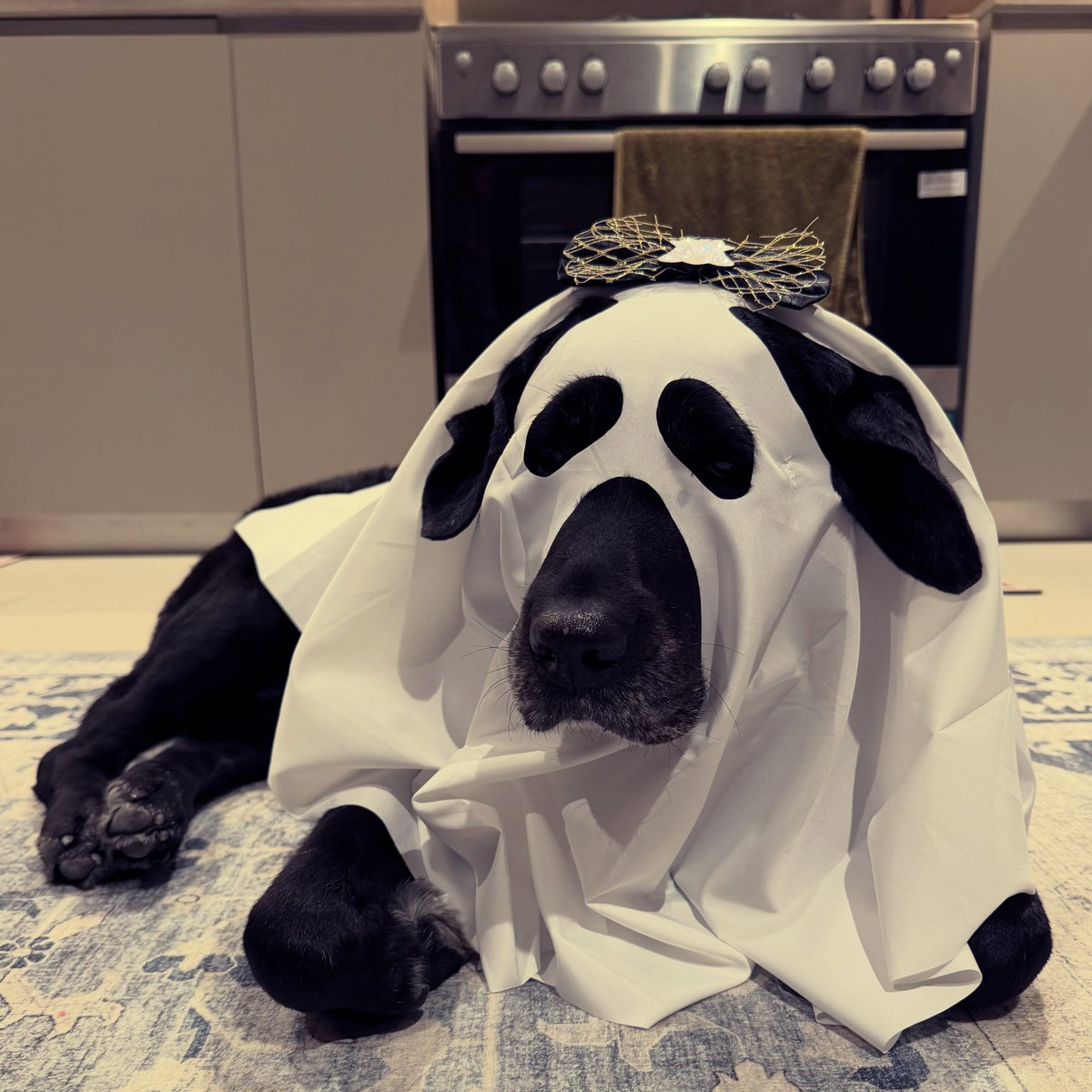bishopjontxa's tweet photo. Ghosts https://t.co/C6H0btpSLr