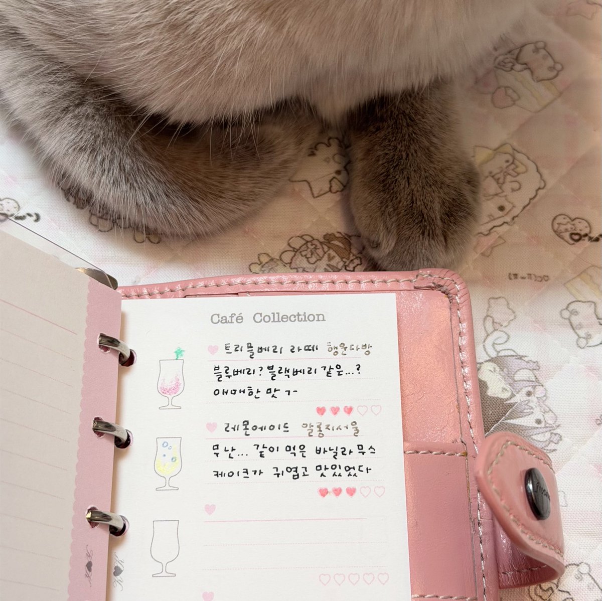 KS2Kheart's tweet photo. https://t.co/dz9eideiNr