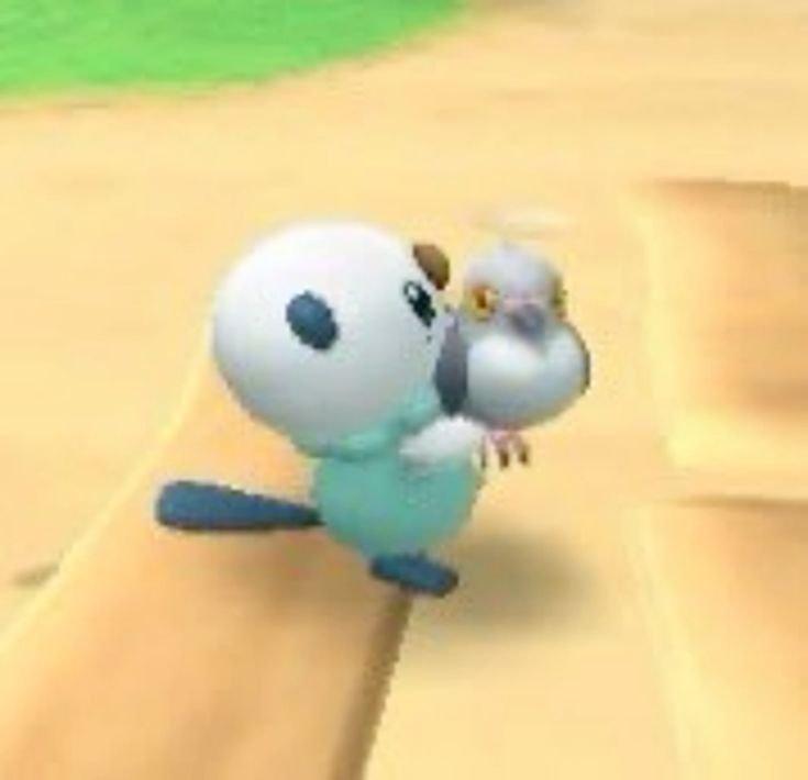 PokeDailyPost's tweet photo. Oshawott holding others Pokémon https://t.co/sAwbXeVOeT