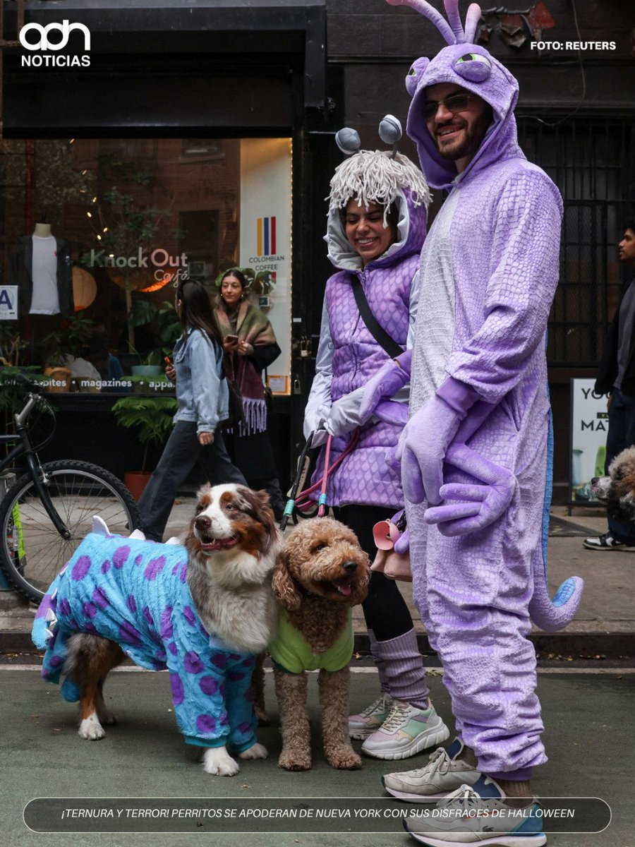 adnnoticiasmx's tweet photo. 🎃🐶 ¡Ternura y terror se apoderan de Nueva York! 
Perritos de todos los tamaños desfilaron por Manhattan con divertidos disfraces de monstruos, piratas y astronautas para celebrar Halloween https://t.co/VY0Fd76LzY