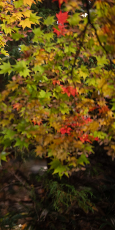 jimny_66 tweet picture