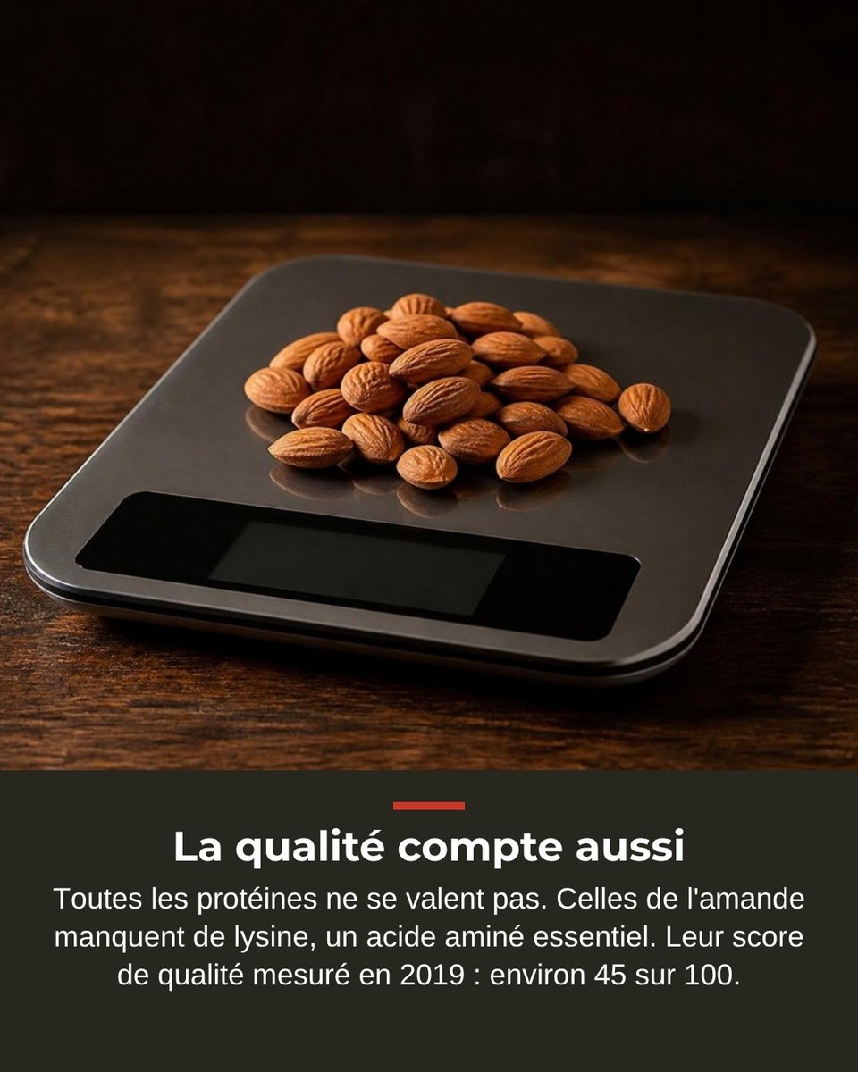 Cuongster's tweet photo. Le compte, l'addition, et ce qu'est vraiment une amande. https://t.co/WQ1ve5D4yP