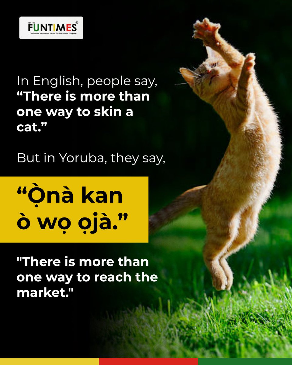 FunTimesMag's tweet photo. One closed door does not mean the journey is over. Sometimes, the answer is simply to try another route. 

#AfricanProverbs #YorubaProverbs #AfricanWisdom #YorubaCulture #FunTimesMagazine https://t.co/MA195PQoTh