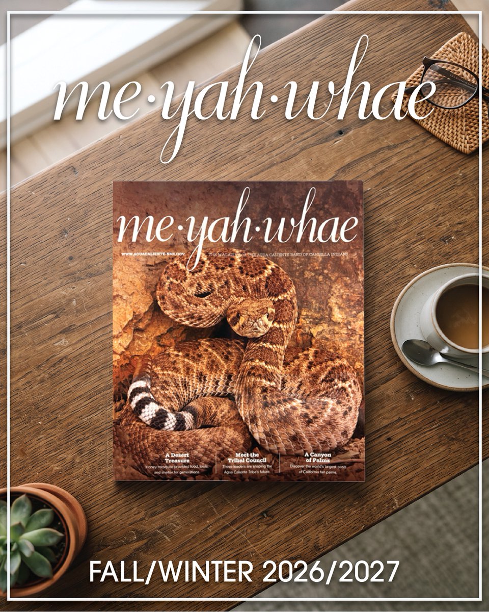 AguaCalienteNDN's tweet photo. The Fall/Winter 2026/2027 edition of Me Yah Whae is here! Discover stories, features, and updates from the Agua Caliente Band of Cahuilla Indians.

👉 Read the digital copy now at: 
https://t.co/pgsoNWtVzl #AguaCaliente #ACBCI #MeYahWhae #PalmSprings https://t.co/AtCIa8RnMz