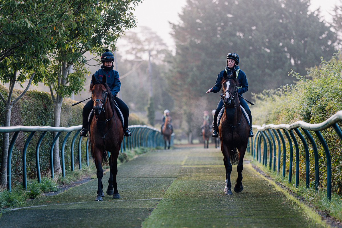 Archie_Watson's tweet photo. A misty morning on the gallops with Gina and @ARM__Racing’s exciting two-year-old Moofeed 🏇💫

#ArchieWatsonRacing https://t.co/luDoptvB6s